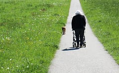 wheel walker