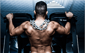 increase muscle mass